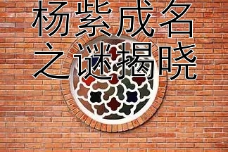 杨紫成名之谜揭晓