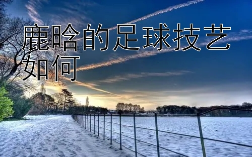 鹿晗的足球技艺如何