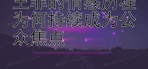 王菲的情感历程为何持续成为公众焦点