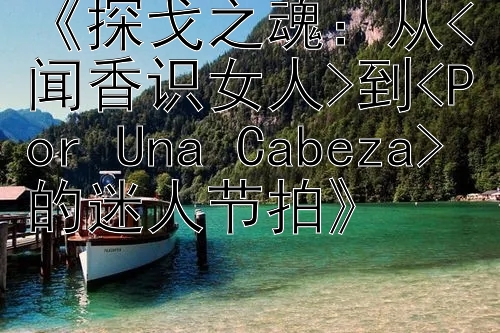 《探戈之魂：从<闻香识女人>到<Por Una Cabeza>的迷人节拍》