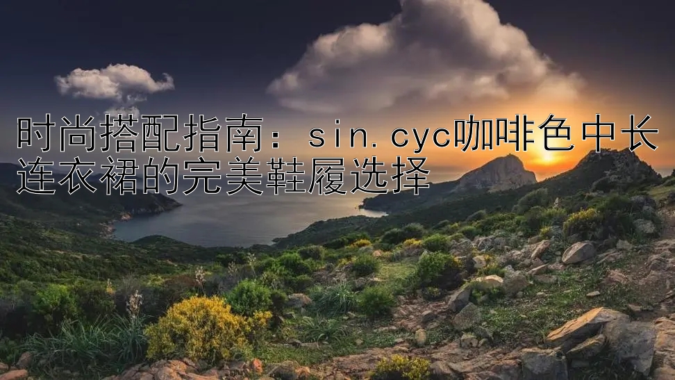 时尚搭配指南：sin.cyc咖啡色中长连衣裙的完美鞋履选择