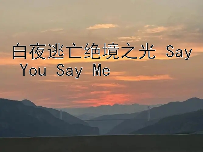 白夜逃亡绝境之光 Say You Say Me